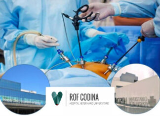 XXIV Curso de Cirugía General Mínimamente Invasiva y Endoscopia Intraoperatoria – Santiago y Lugo XXIV Curso Cirugía 2026